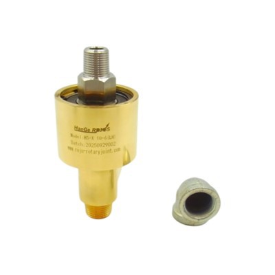 Prilagođeni ne-standardni HS-X10-6 rotacijski zglob